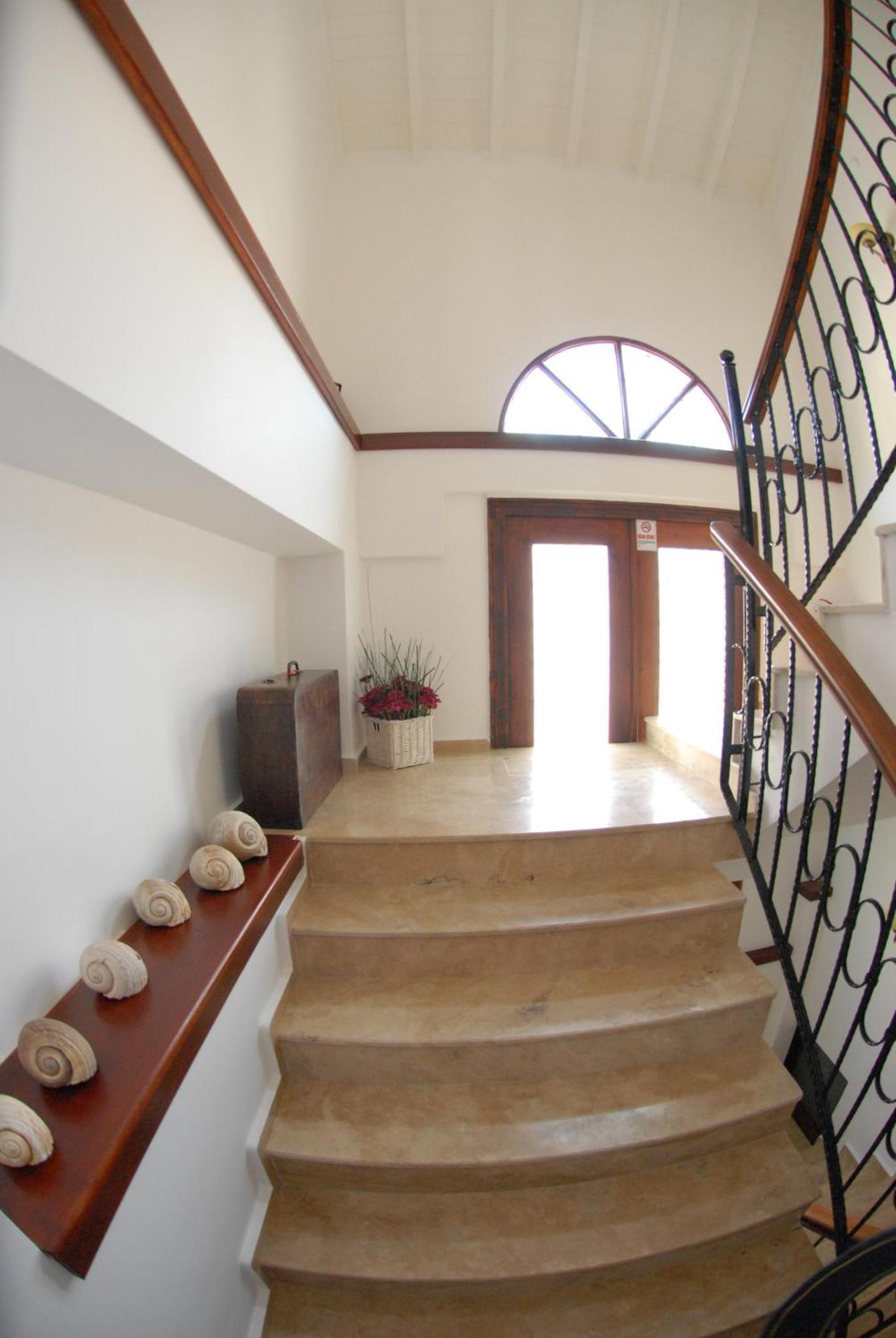 Aliye Hanim Hotel Ayvalı 外观 照片
