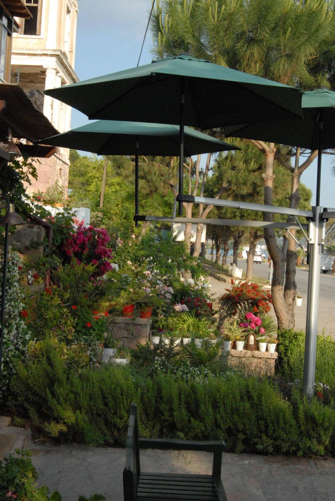 Aliye Hanim Hotel Ayvalı 外观 照片
